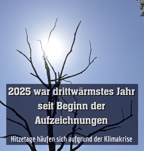 Hitzetage häufen sich aufgrund der Klimakrise