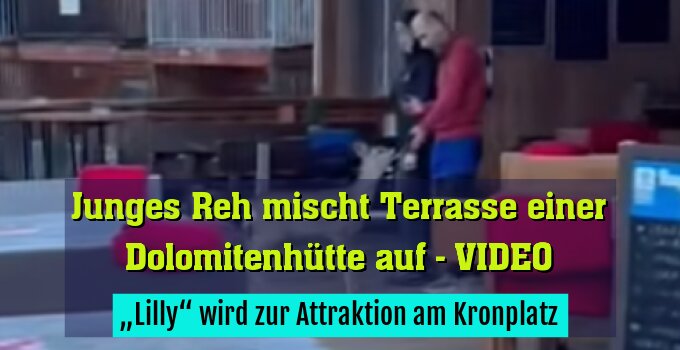 „Lilly“ wird zur Attraktion am Kronplatz