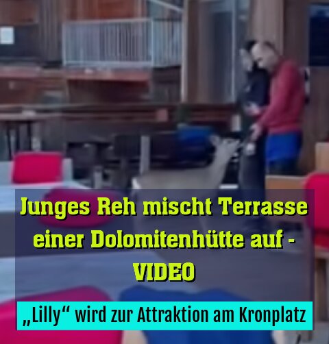 „Lilly“ wird zur Attraktion am Kronplatz