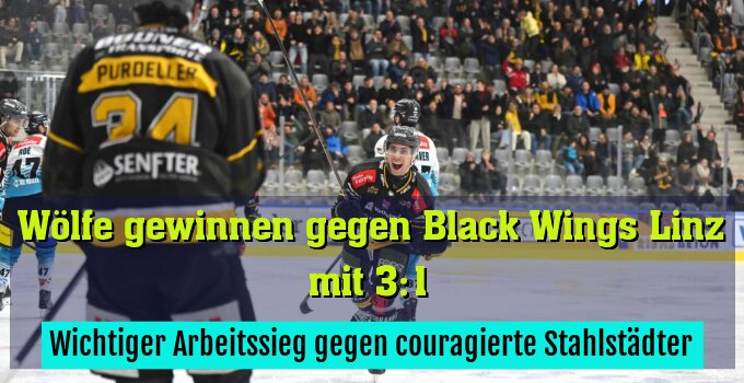 Wichtiger Arbeitssieg gegen couragierte Stahlstädter