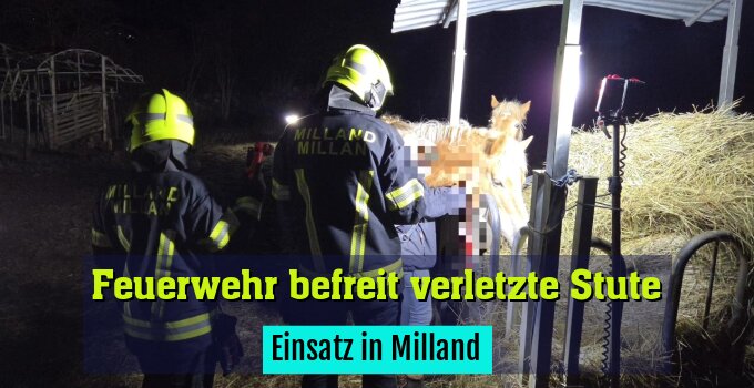 Einsatz in Milland