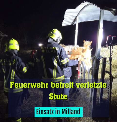 Einsatz in Milland