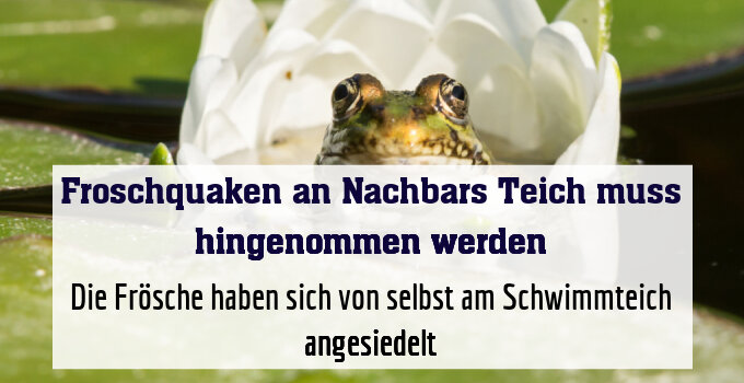Die Frösche haben sich von selbst am Schwimmteich angesiedelt