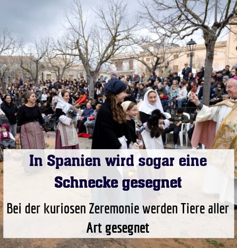 Bei der kuriosen Zeremonie werden Tiere aller Art gesegnet