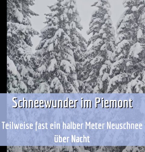 Teilweise fast ein halber Meter Neuschnee über Nacht