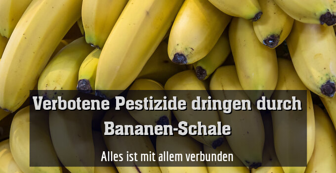 Alles ist mit allem verbunden