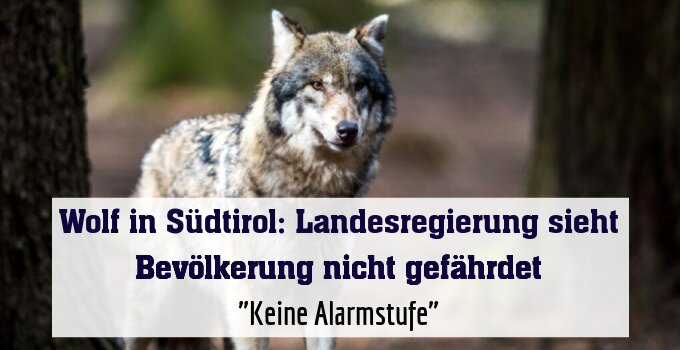 "Keine Alarmstufe"