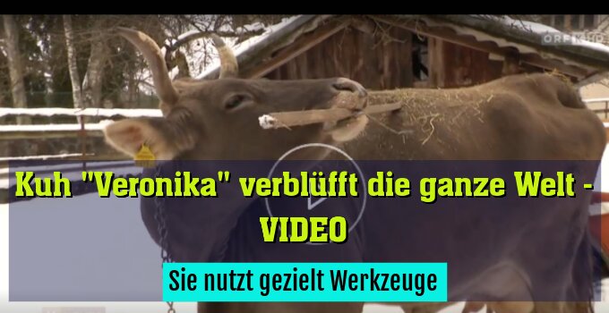 Sie nutzt gezielt Werkzeuge