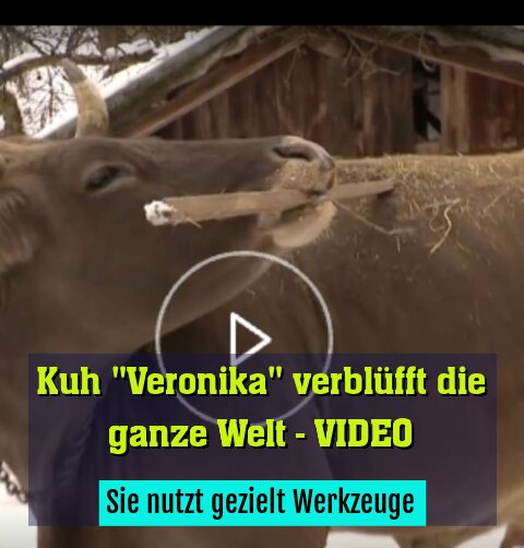 Sie nutzt gezielt Werkzeuge