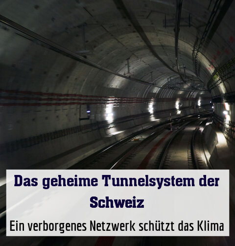 Ein verborgenes Netzwerk schützt das Klima