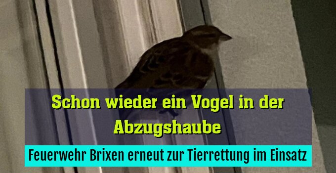 Feuerwehr Brixen erneut zur Tierrettung im Einsatz
