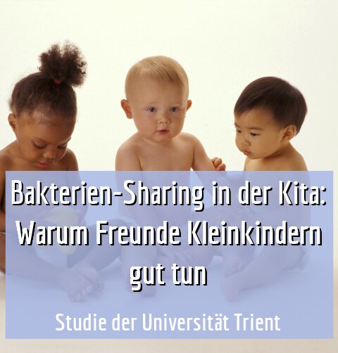 Studie der Universität Trient