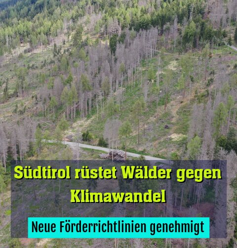 Neue Förderrichtlinien genehmigt