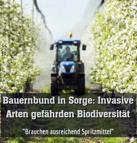 "Brauchen ausreichend Spritzmittel"