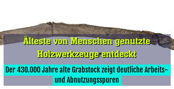 Der 430.000 Jahre alte Grabstock zeigt deutliche Arbeits- und Abnutzungsspuren