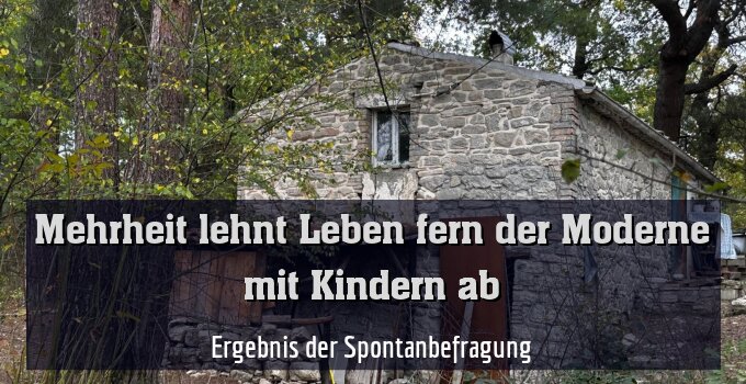 Ergebnis der Spontanbefragung