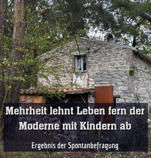 Ergebnis der Spontanbefragung