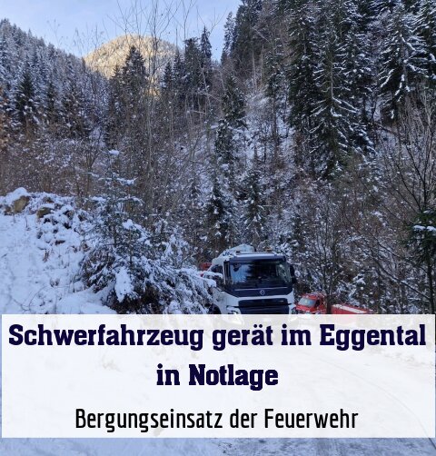 Bergungseinsatz der Feuerwehr