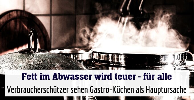 Verbraucherschützer sehen Gastro-Küchen als Hauptursache