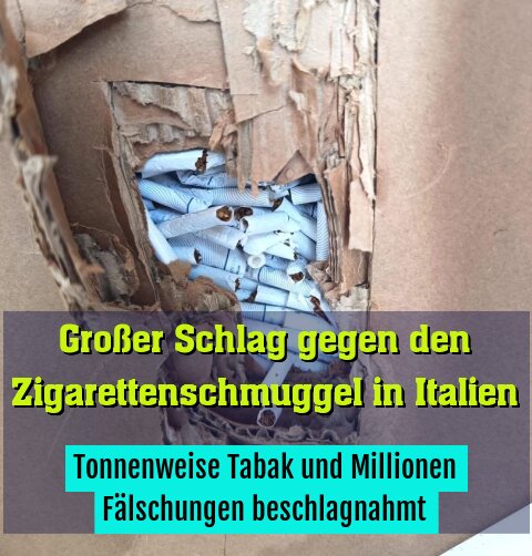 Tonnenweise Tabak und Millionen Fälschungen beschlagnahmt