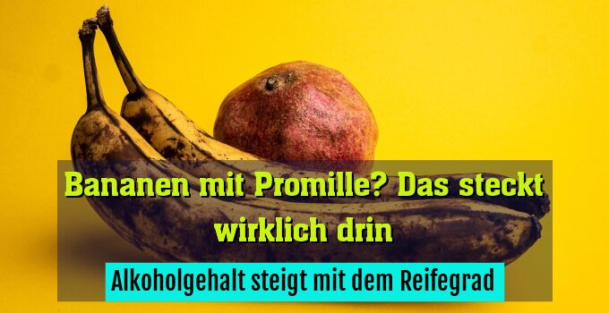 Alkoholgehalt steigt mit dem Reifegrad