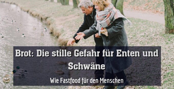 Wie Fastfood für den Menschen