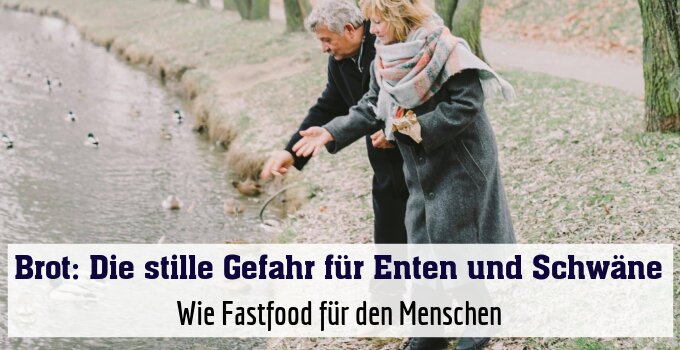 Wie Fastfood für den Menschen
