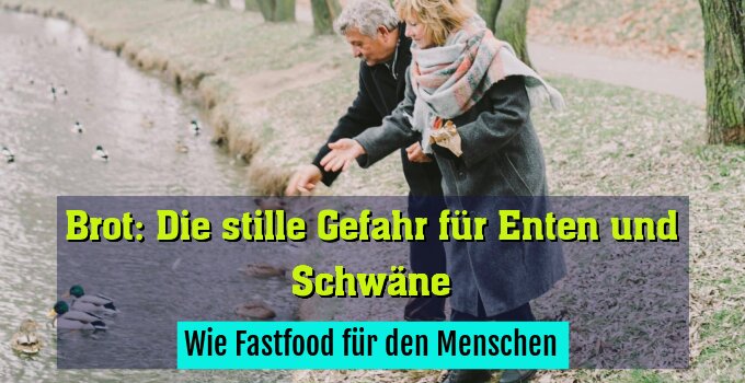 Wie Fastfood für den Menschen