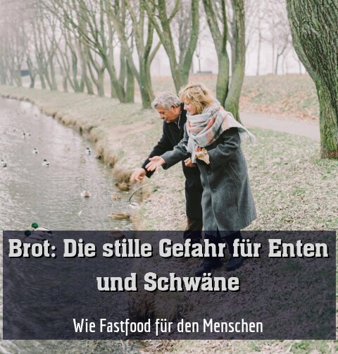 Wie Fastfood für den Menschen