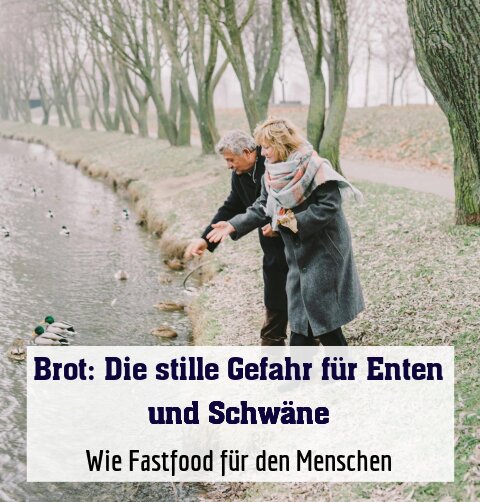 Wie Fastfood für den Menschen