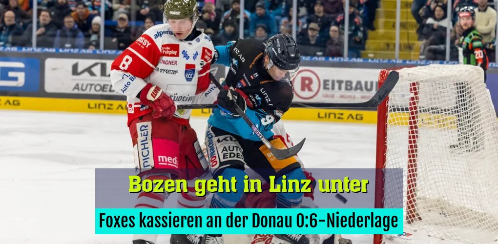 Foxes kassieren an der Donau 0:6-Niederlage