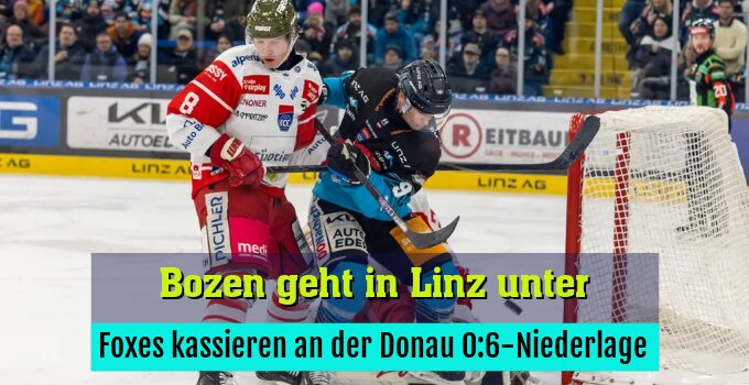 Foxes kassieren an der Donau 0:6-Niederlage