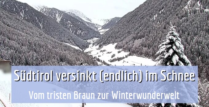 Vom tristen Braun zur Winterwunderwelt