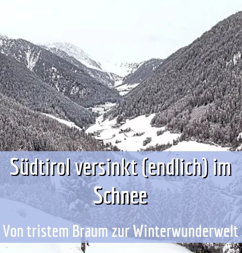 Von tristem Braum zur Winterwunderwelt