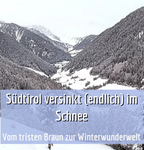 Vom tristen Braun zur Winterwunderwelt
