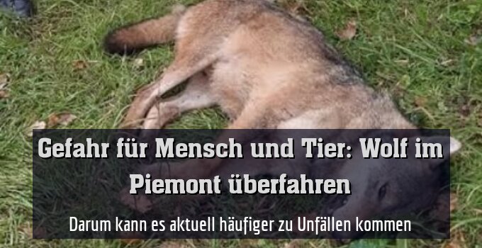 Darum kann es aktuell häufiger zu Unfällen kommen