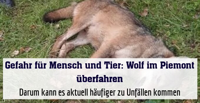 Darum kann es aktuell häufiger zu Unfällen kommen