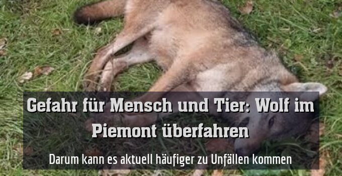 Darum kann es aktuell häufiger zu Unfällen kommen