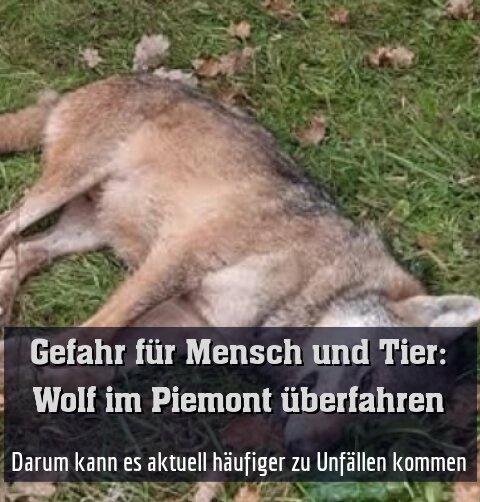 Darum kann es aktuell häufiger zu Unfällen kommen