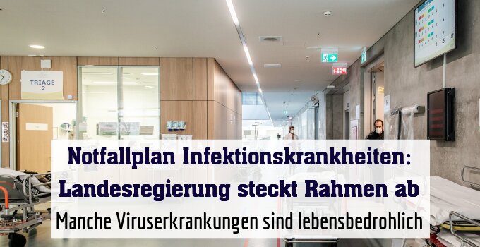 Manche Viruserkrankungen sind lebensbedrohlich