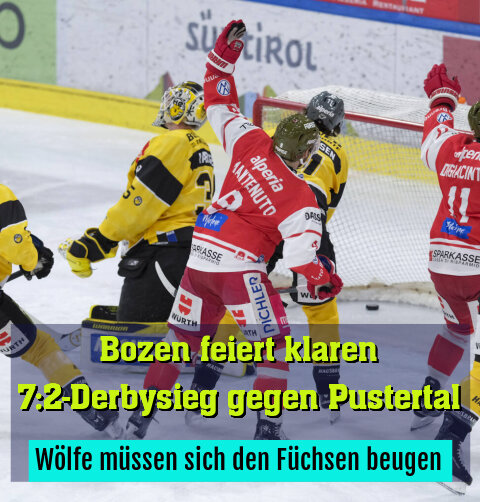 Wölfe müssen sich den Füchsen beugen