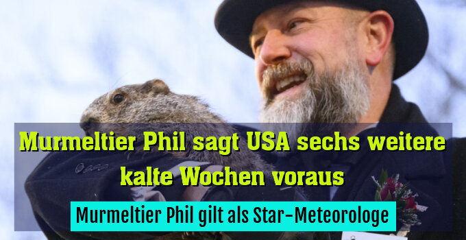 Murmeltier Phil gilt als Star-Meteorologe