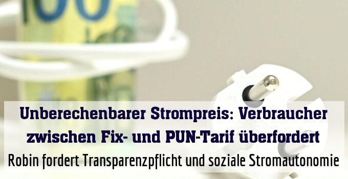 Robin fordert Transparenzpflicht und soziale Stromautonomie