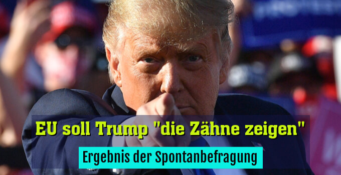 Ergebnis der Spontanbefragung