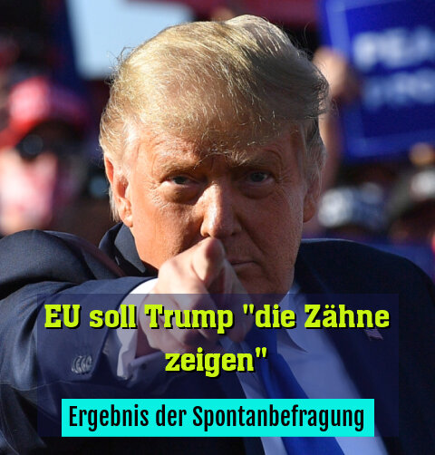 Ergebnis der Spontanbefragung