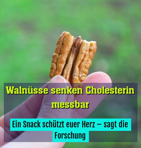 Ein Snack schützt euer Herz – sagt die Forschung