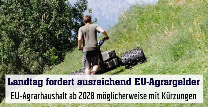 EU-Agrarhaushalt ab 2028 möglicherweise mit Kürzungen