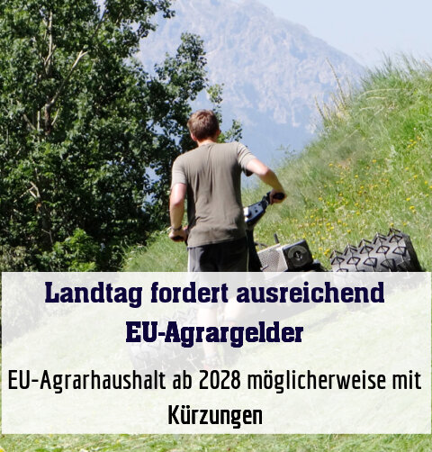 EU-Agrarhaushalt ab 2028 möglicherweise mit Kürzungen