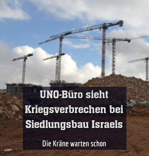 Die Kräne warten schon