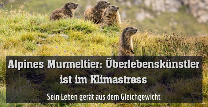 Sein Leben gerät aus dem Gleichgewicht